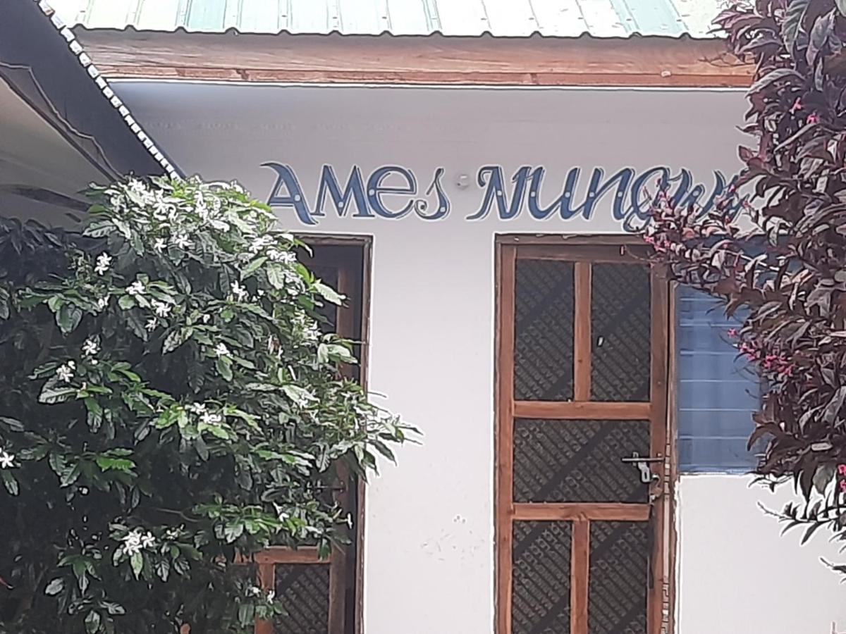 Ames Nungwi Exterior foto